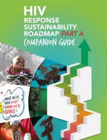 Sostenibilidad de la respuesta al VIH roadmpa: Guía complementaria dover
