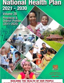Plano nacional de saúde 2021-2030, volume 2B 