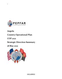 Angola COP21 strategic direction summary