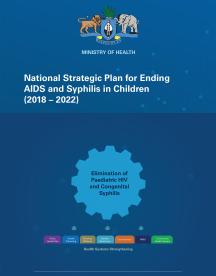Plan estratégico nacional de Eswatini para acabar con el sida y la sífilis infantil (2018-2022) 