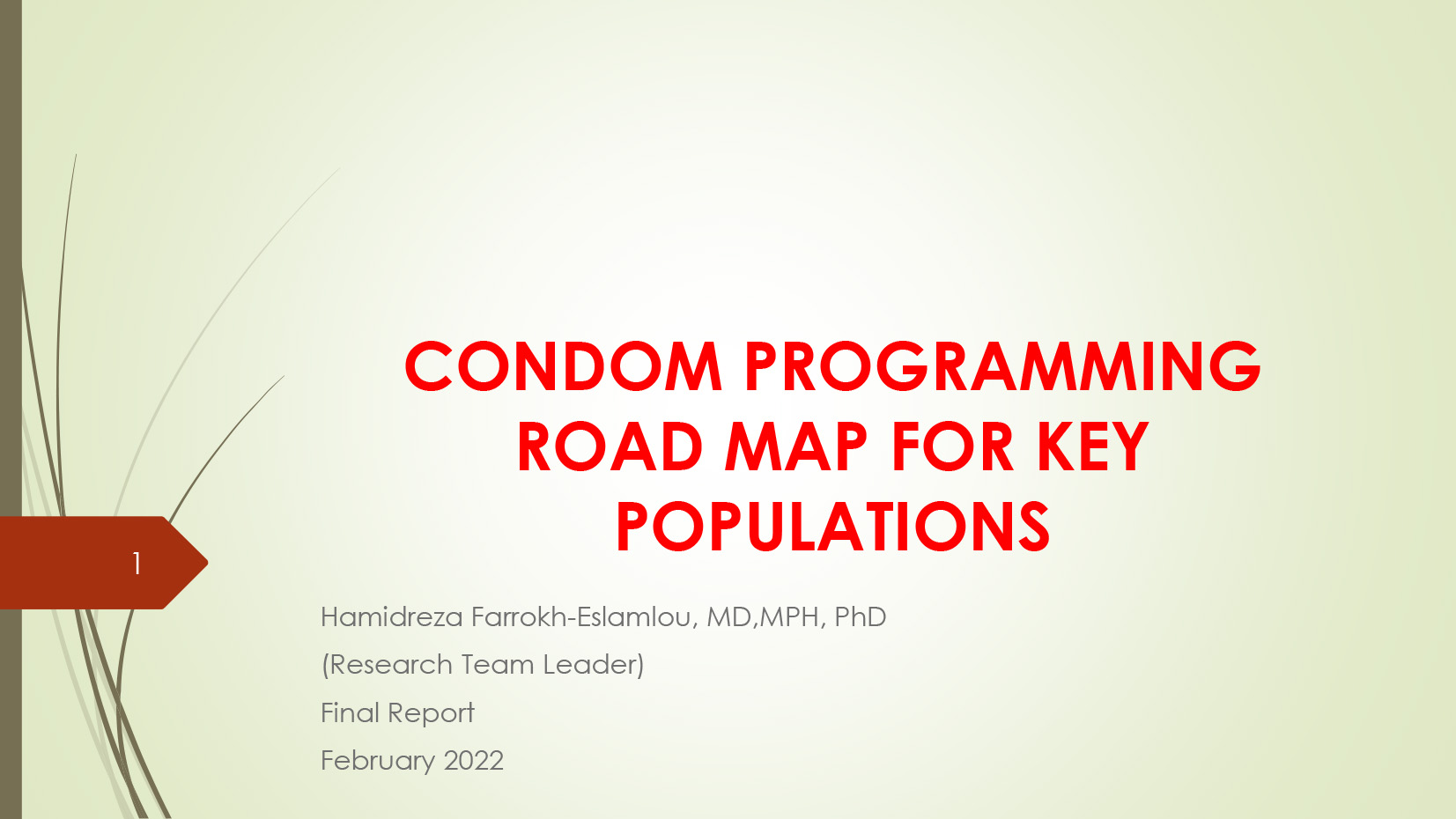 Condom programming road map Cover