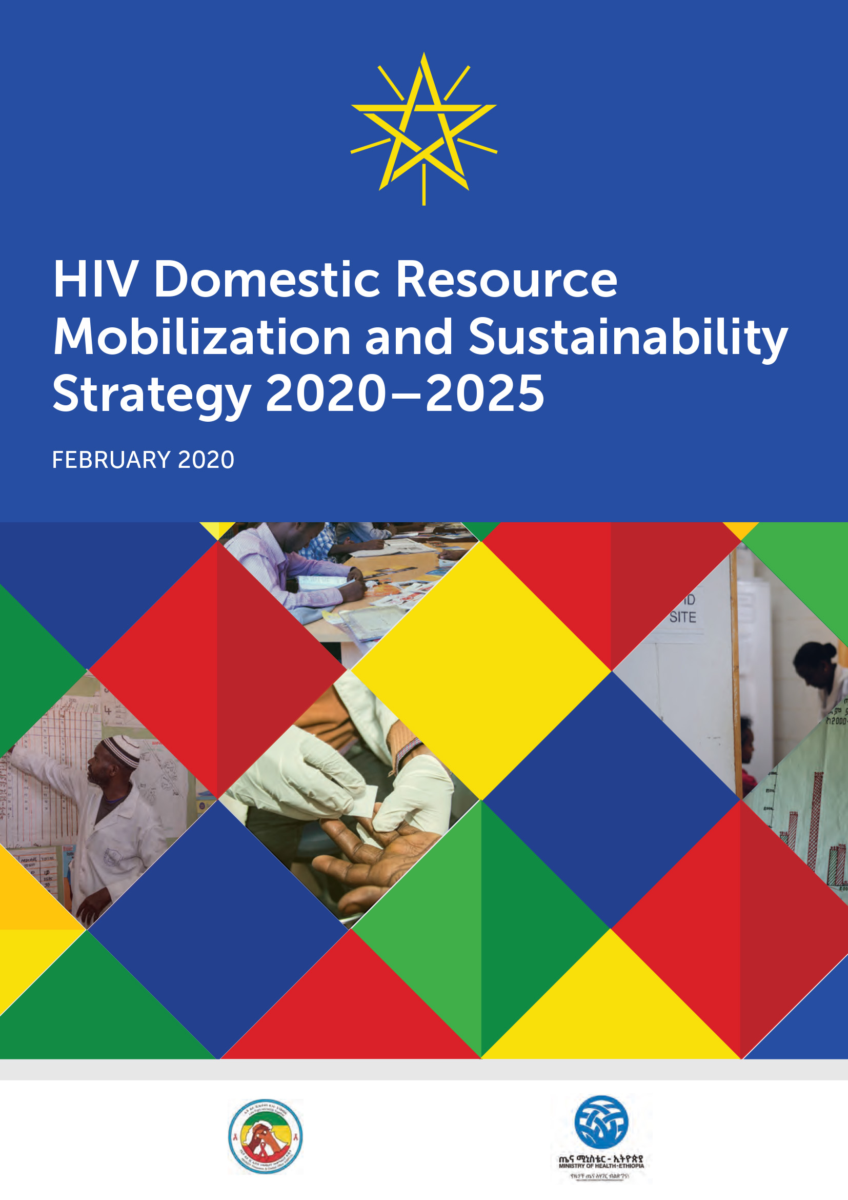 HIV domestic resource mobilization and sustainability strategy 2020–2025 