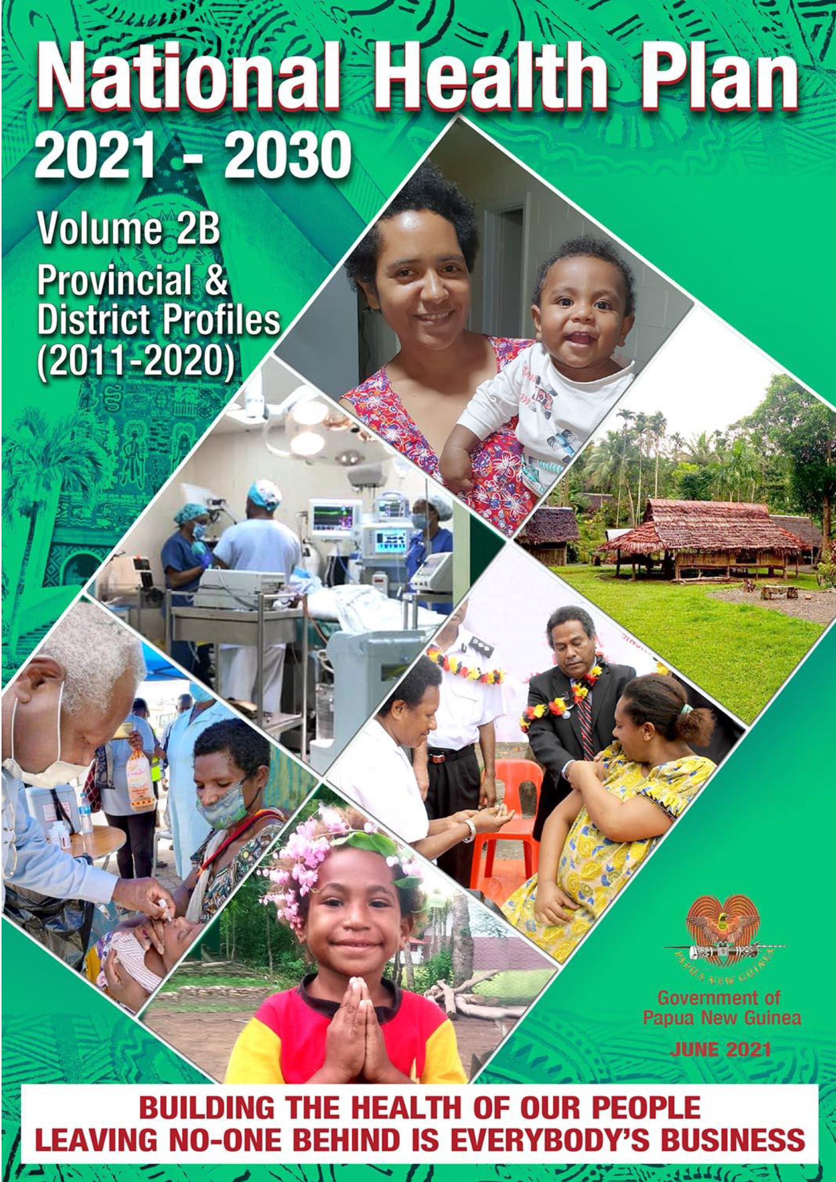 Plano nacional de saúde 2021-2030, volume 2B 